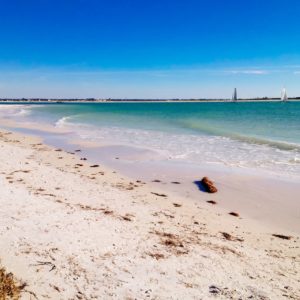 Best Places to Live on the Gulf Coast of Florida Dunedin