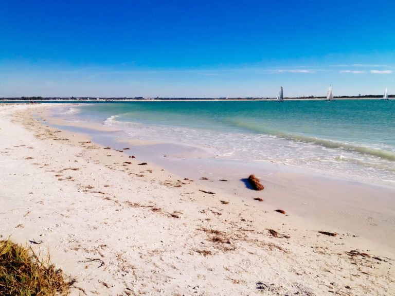 Best Places to Live on the Gulf Coast of Florida Dunedin
