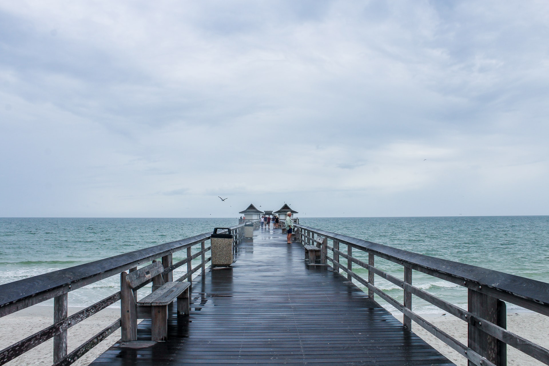 8 Best Places to Live on the Gulf Coast of Florida | 2021 Update