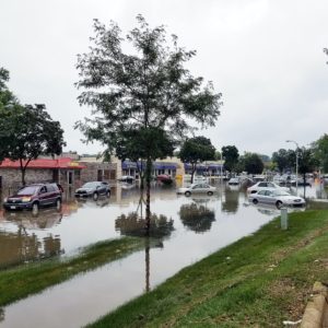 Does Cape Coral Flood - Flooding City