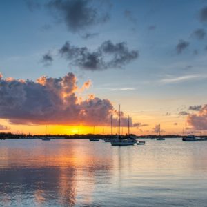 best places to live in southwest florida - Sarasota