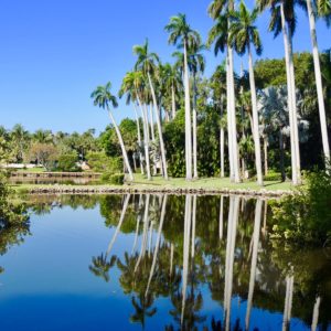 pros-and-cons-of-living-in-winter-haven-florida-outdoors-lakes
