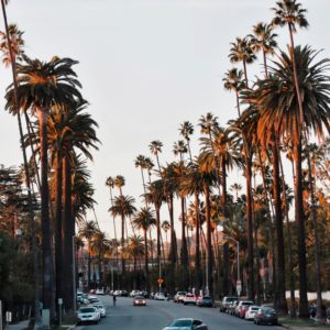 Beverly-Hills-vs-Bel-Air-Palm-Tree-Street