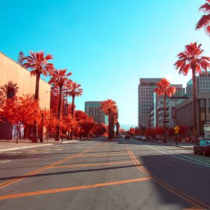 Best-Cities-to-Live-in-Northern-California-San-Jose