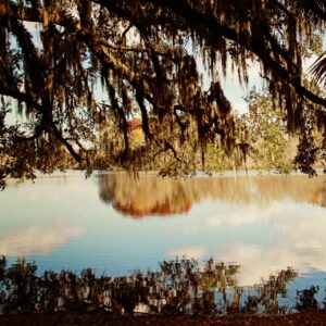 Best-places-to-live-in-northern-florida-Gainesville