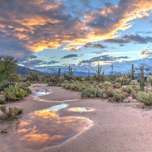 Arizona