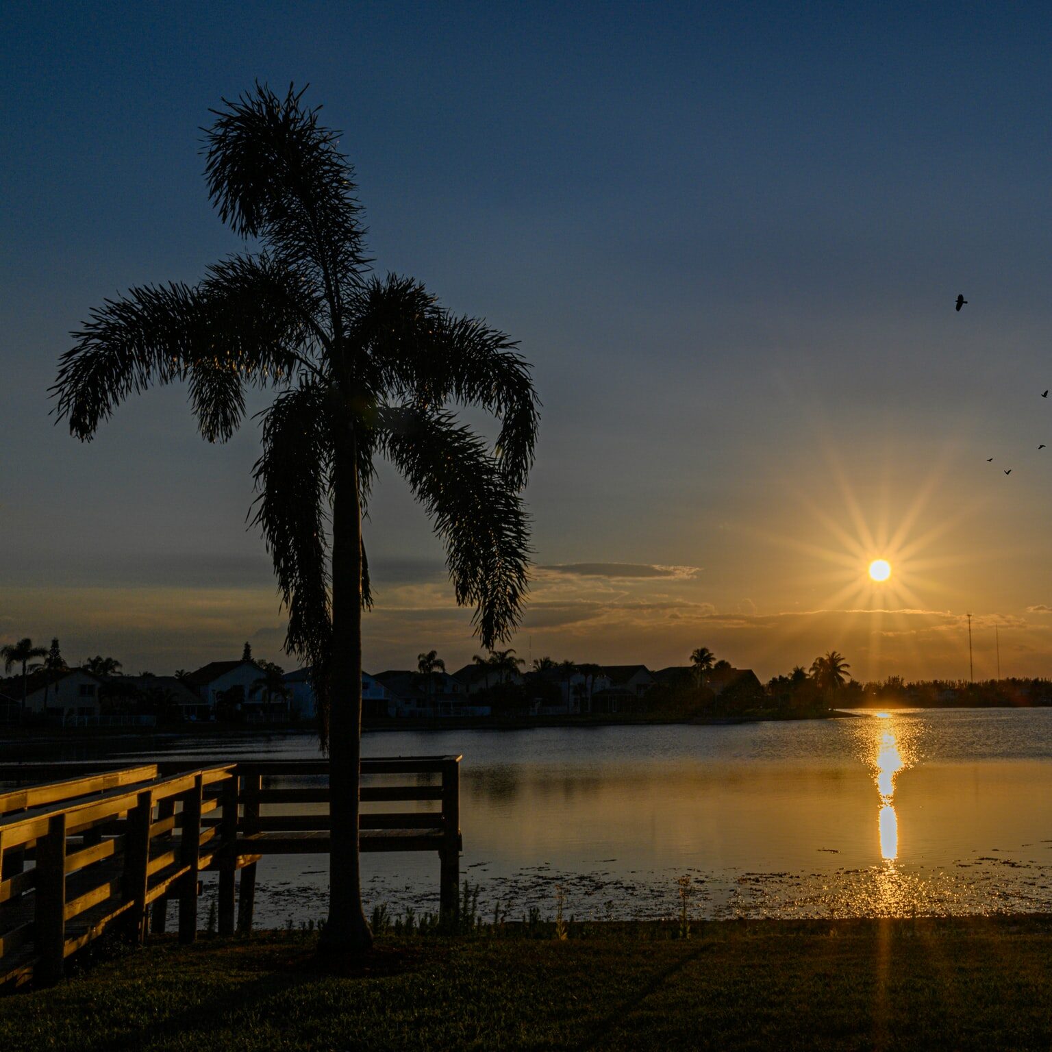 Living in Florida vs Texas in 2023 Honest Comparison Guide