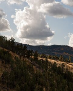 Flagstaff-vs-Sedona-Flagstaff-Nature