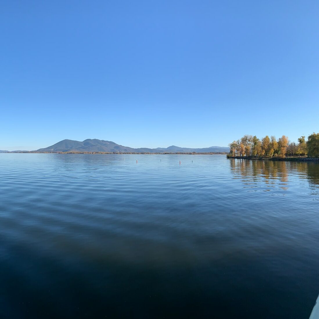 The 12 Cheapest Places to Live in Northern California in 2024