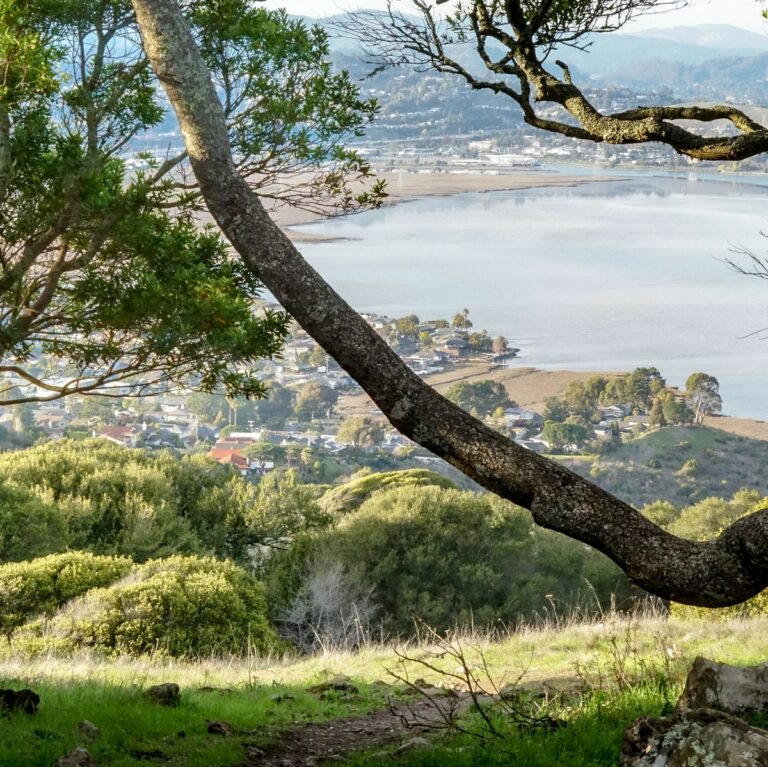 The 12 Best Small Towns in California to Raise a Family in 2023