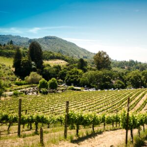 Best-Small-Towns-in-California-to-Raise-a-Family-Sonoma