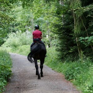 is-aiken-sc-a-good-place-to-live-Horse-Riding