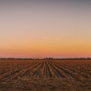 best-places-to-live-in-west-texas-Amarillo