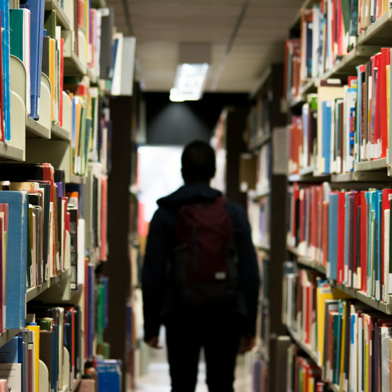 Is Tyler Texas a Good Place to Live? 10 Pros and Cons of Living in