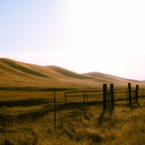 fresno-vs-bakersfield