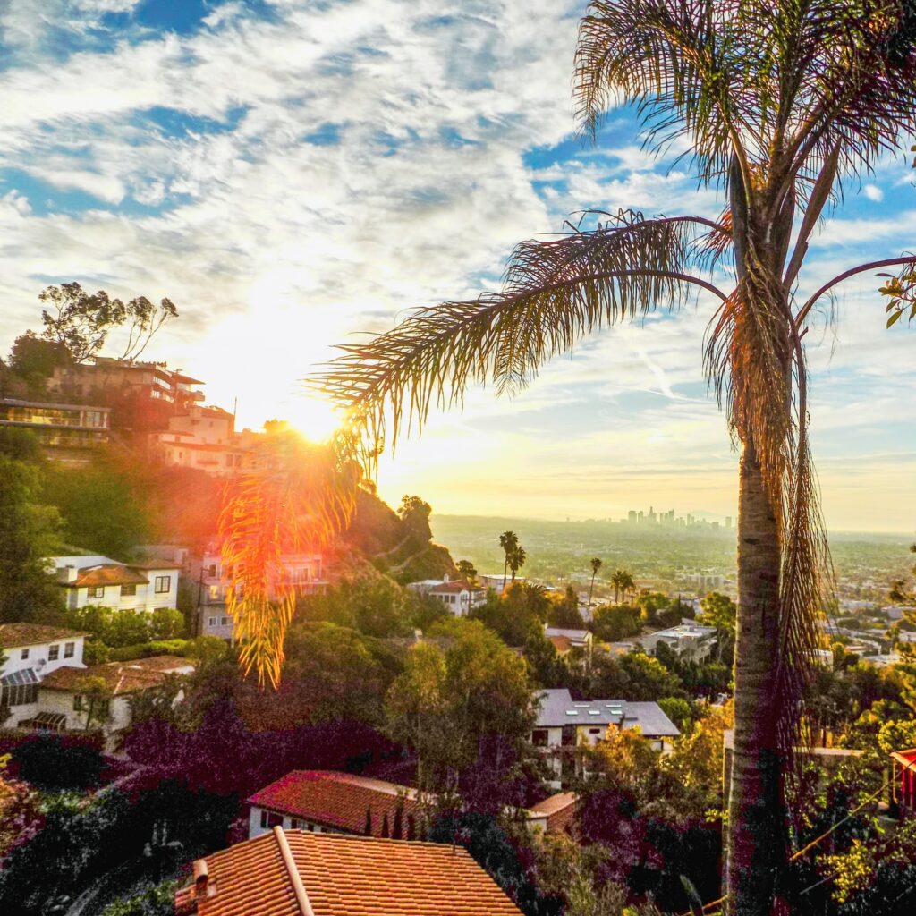 Hollywood Hills vs Beverly Hills 2023 Guide for Visiting & Living