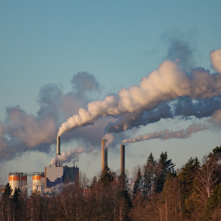 Is Bakersfield a Good Place to Live? 8 Pros and Cons of Living in