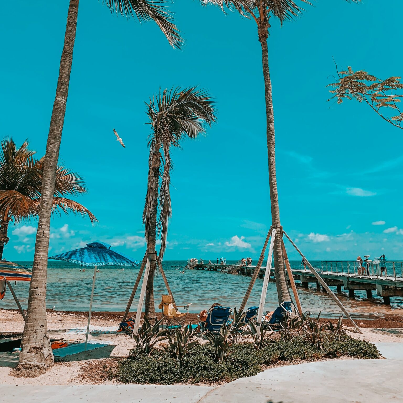 Key West vs Key Largo 2023 Detailed Comparison Guide