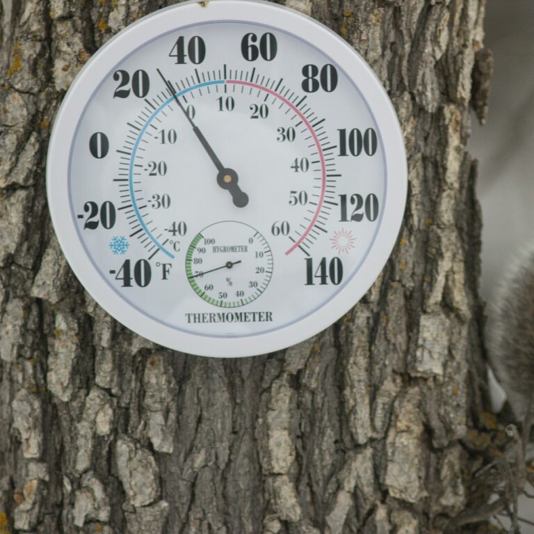 9 Best Places to Live in Texas for Weather Least Humid Cities in