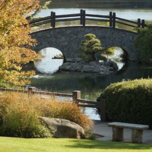 fresno-vs-bakersfield-fresno-Things to do-Japanese-garden