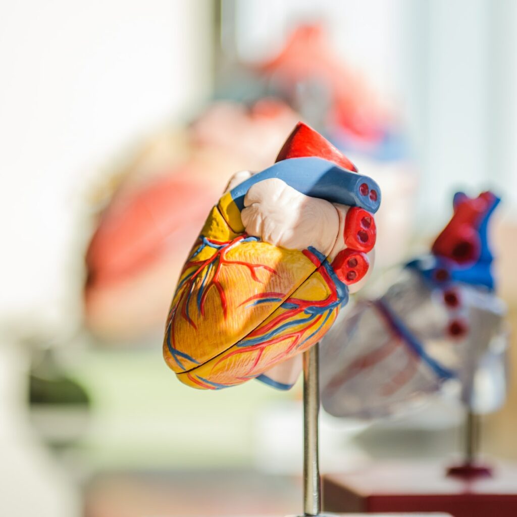 Is Amarillo, Texas a Good Place to Live? 8 Pros and Cons of Living in