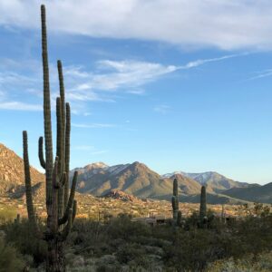 scottsdale-vs-sedona-Scottsdale-Overview