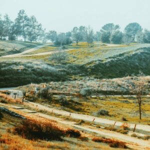 fresno-vs-bakersfield