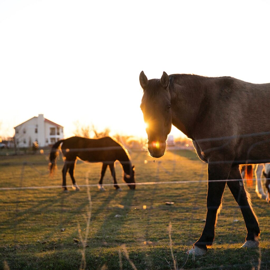 The Top 8 Pros and Cons of Living in Palm Coast FL in 2024