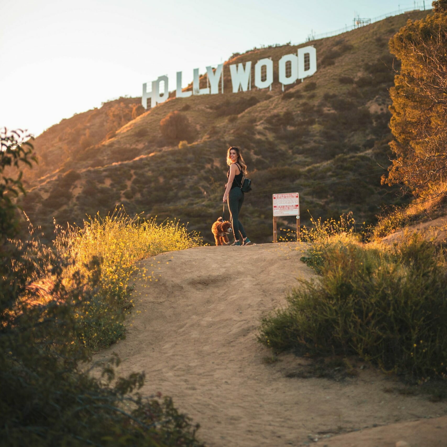 Hollywood Hills vs Beverly Hills 2023 Guide for Visiting & Living