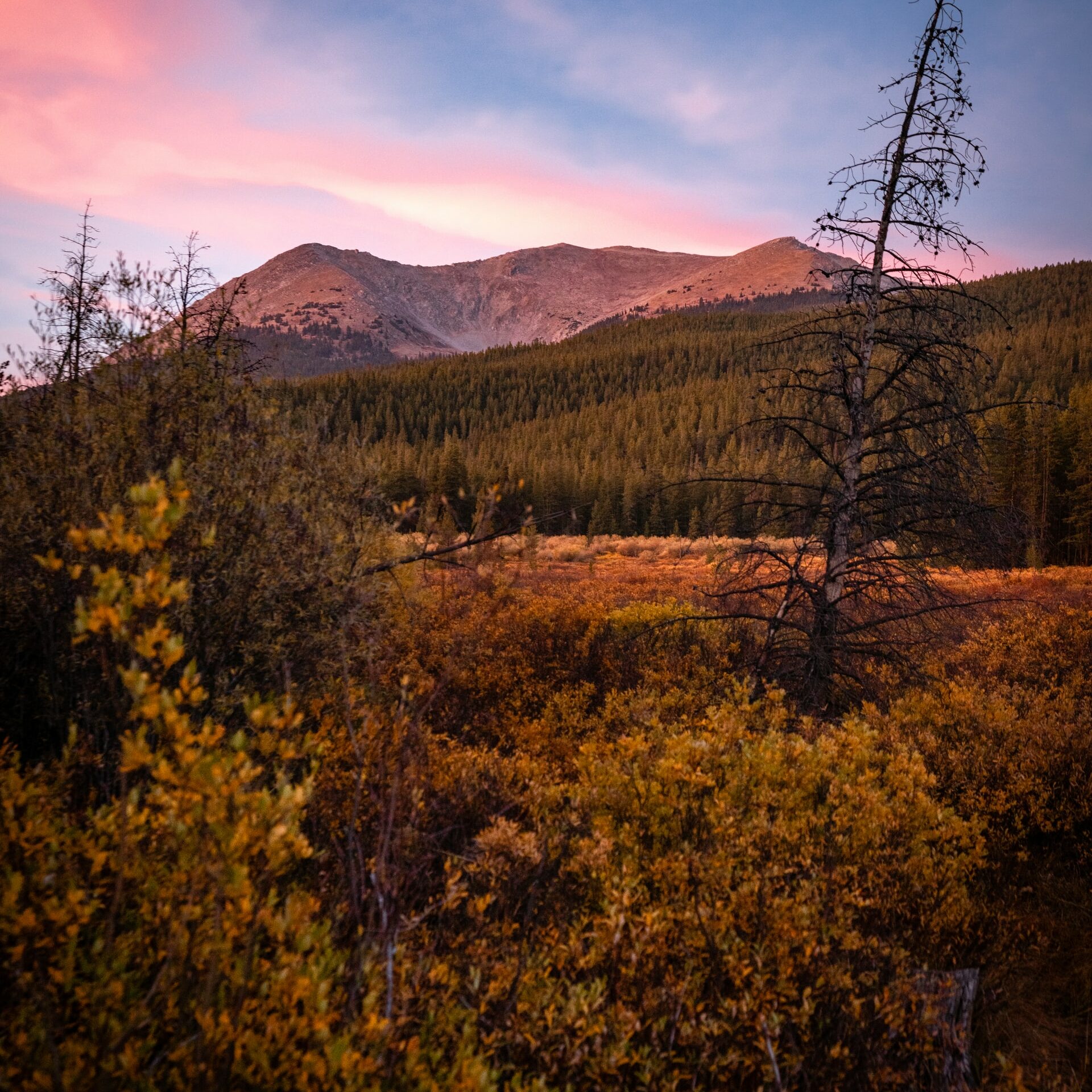 Discover 10 Affordable Mountain Towns in Colorado in 2024