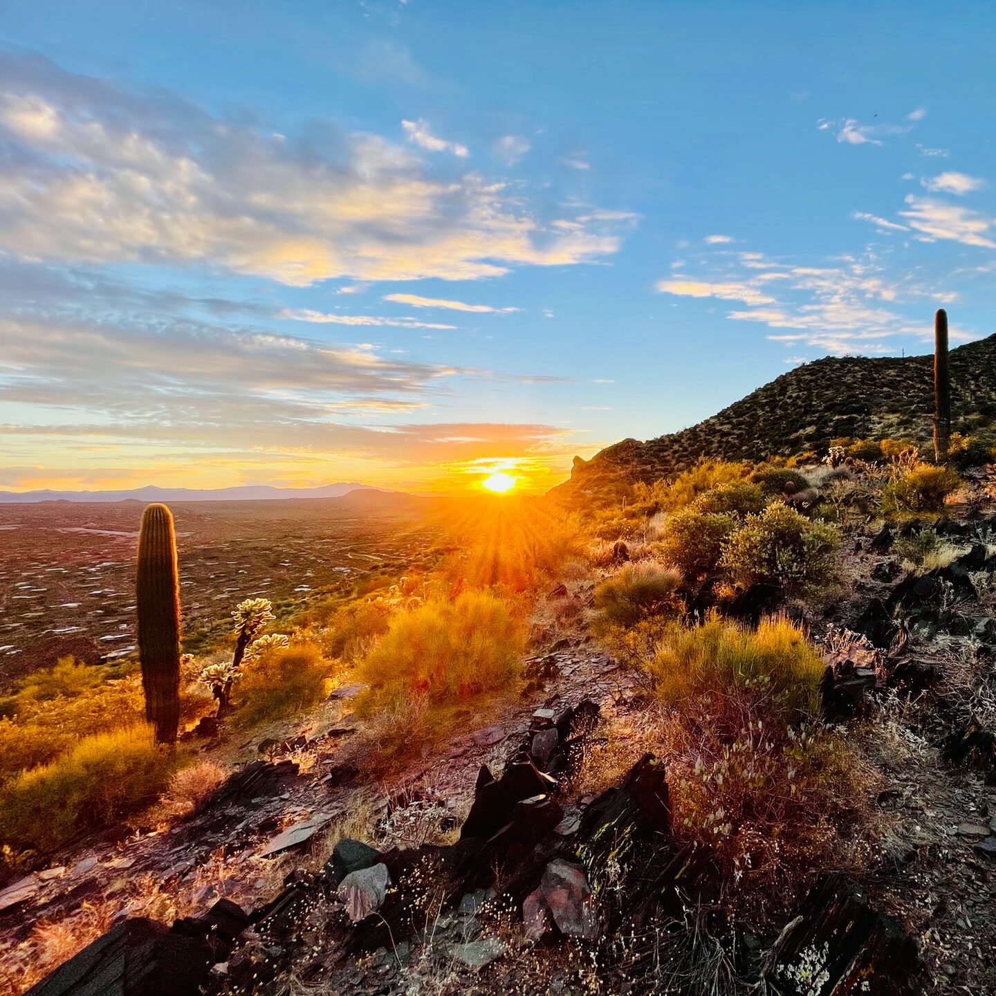 Discover 8 Charming Small Towns near Phoenix Arizona 2024 Update