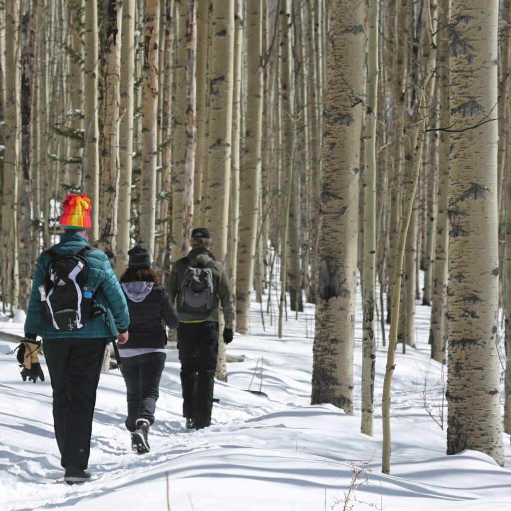 Discover 10 Affordable Mountain Towns in Colorado in 2024