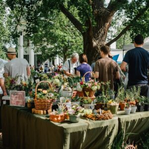 small-towns-near-sacramento-Nevada-City