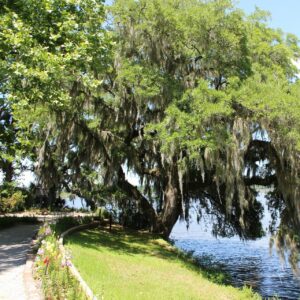 pros-and-cons-of-living-in-summerville-sc-Small-Town