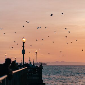 warmest-beaches-in-california-seal-beach