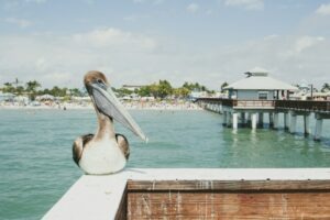 Small-Towns-near-Fort-Myers-Florida.