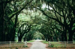 best-cities-to-live-in-south-georgia