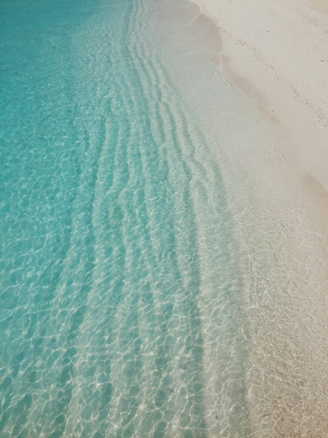 8 Best All Inclusive Resorts with Crystal Clear Water in Florida - 2026