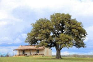 most-conservative-place-in-texas-fredricksburg