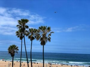 things-to-do-in-manhattan-beach-ca-beach