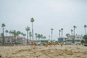 most-conservative-places-in-california-huntington-beach