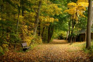 wealthiest towns in new york