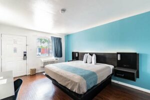 best motels in tampa florida