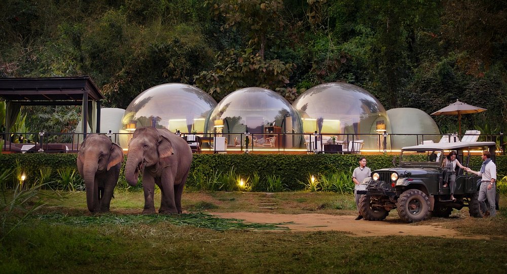 Anantara Golden Triangle Elephant Camp