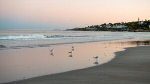 best beach resorts in maine