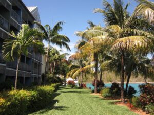 1. Pelican Bay Hotel