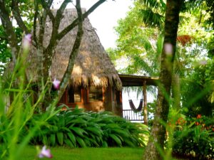 3. Bosque del Cabo Rainforest Lodge