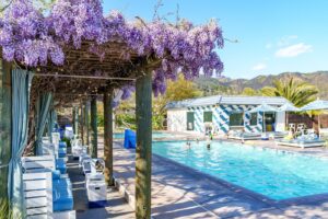 6. Calistoga Motor Lodge & Spa by Hyatt Hotel