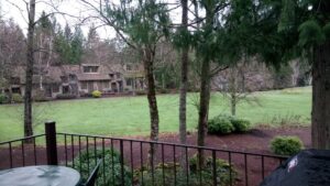 7. Whispering Woods Resort