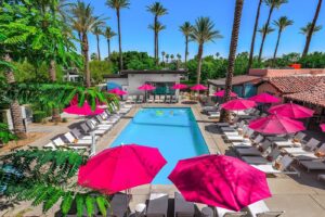 8. The Paloma Resort